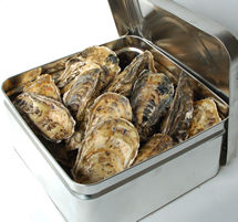 サロマ湖産殻付き牡蠣３ｋ缶