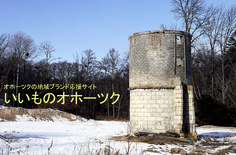 北見市郊外冬のサイロ